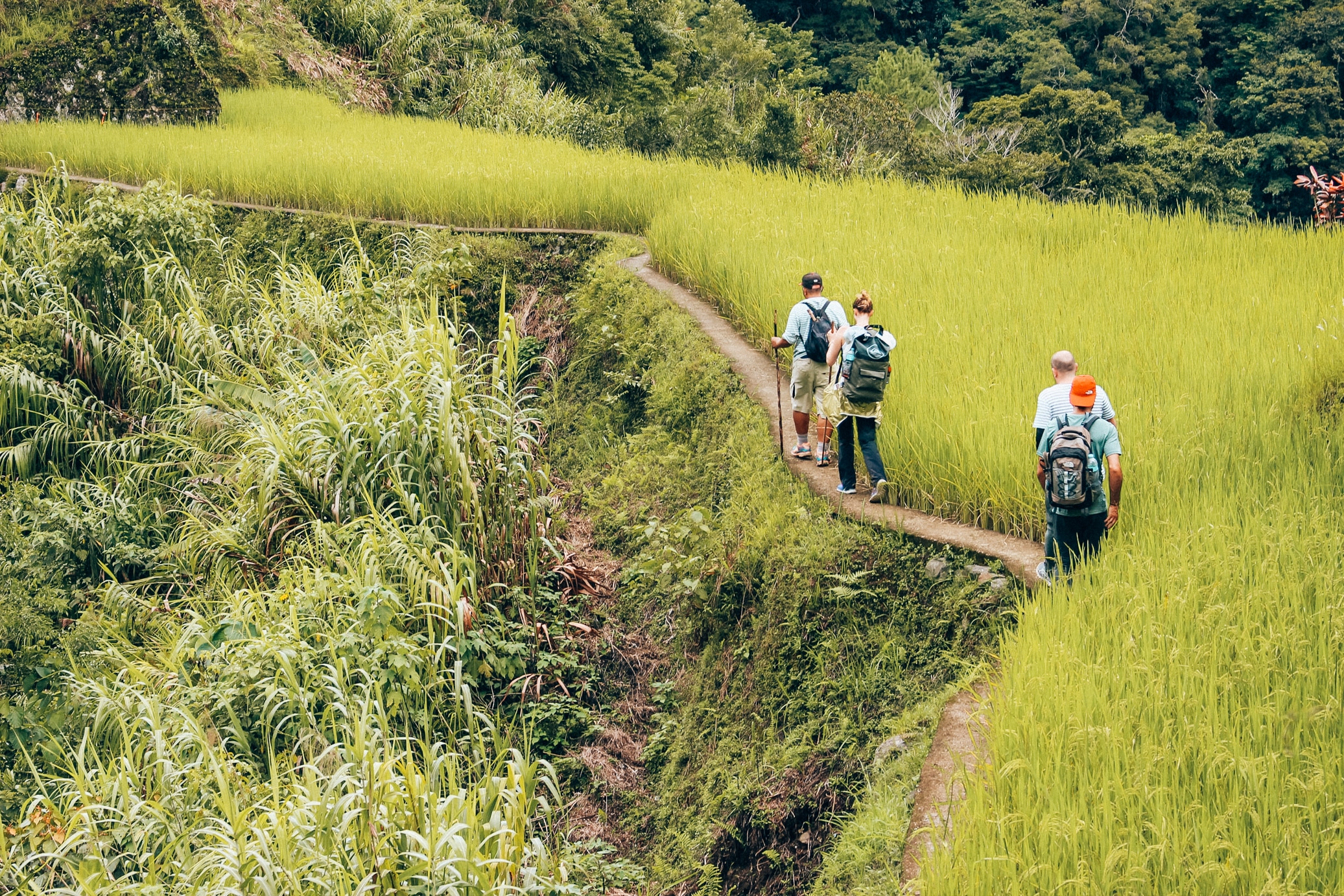 trek-dans-les-rizieres-de-banaue