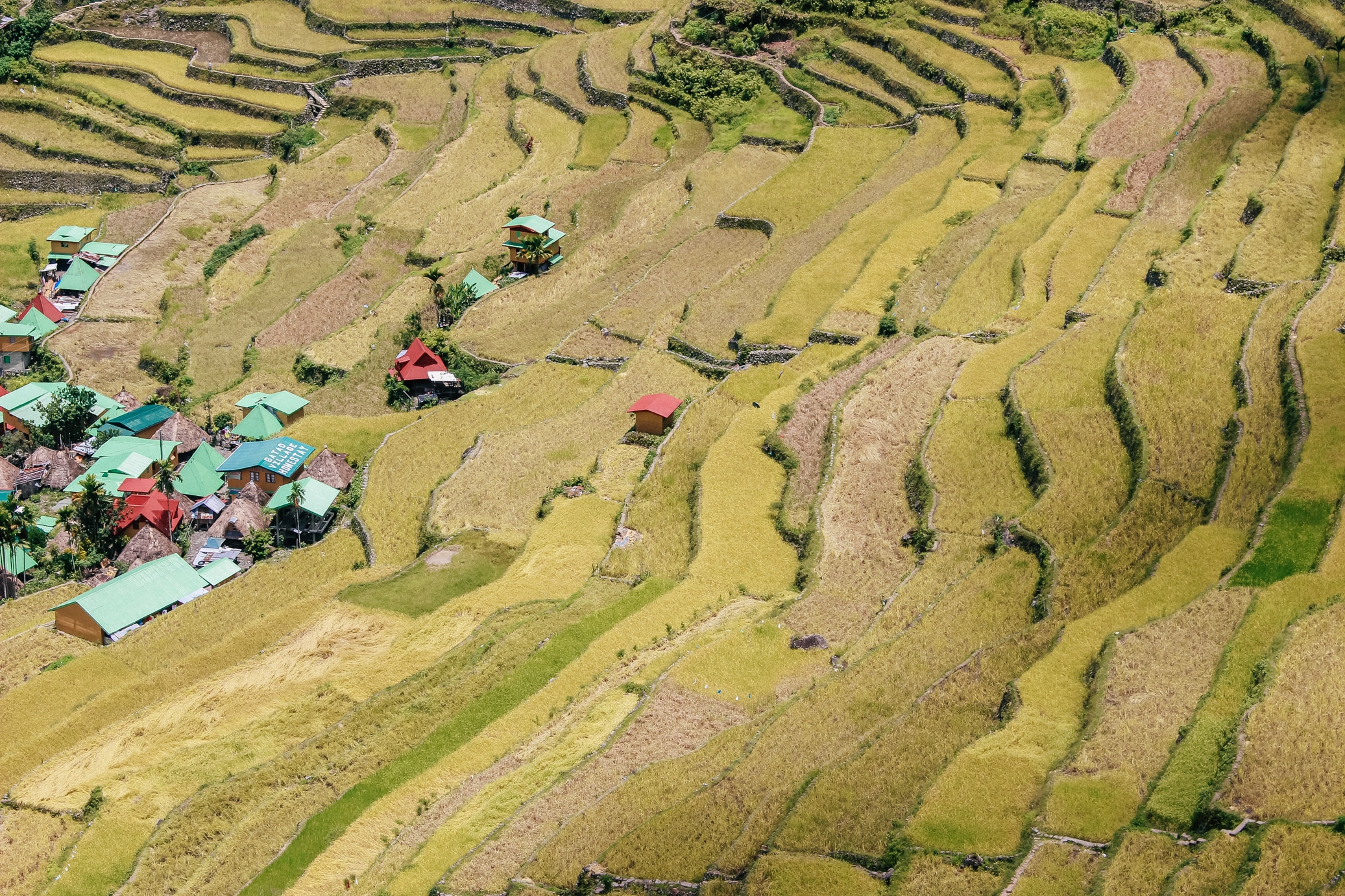 trek-dans-les-rizieres-de-banaue