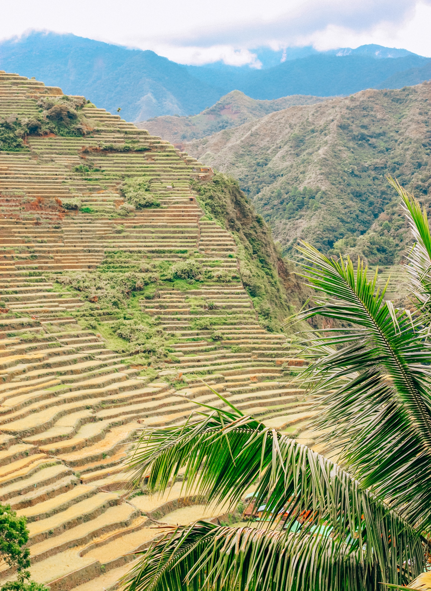 trek-dans-les-rizieres-de-banaue