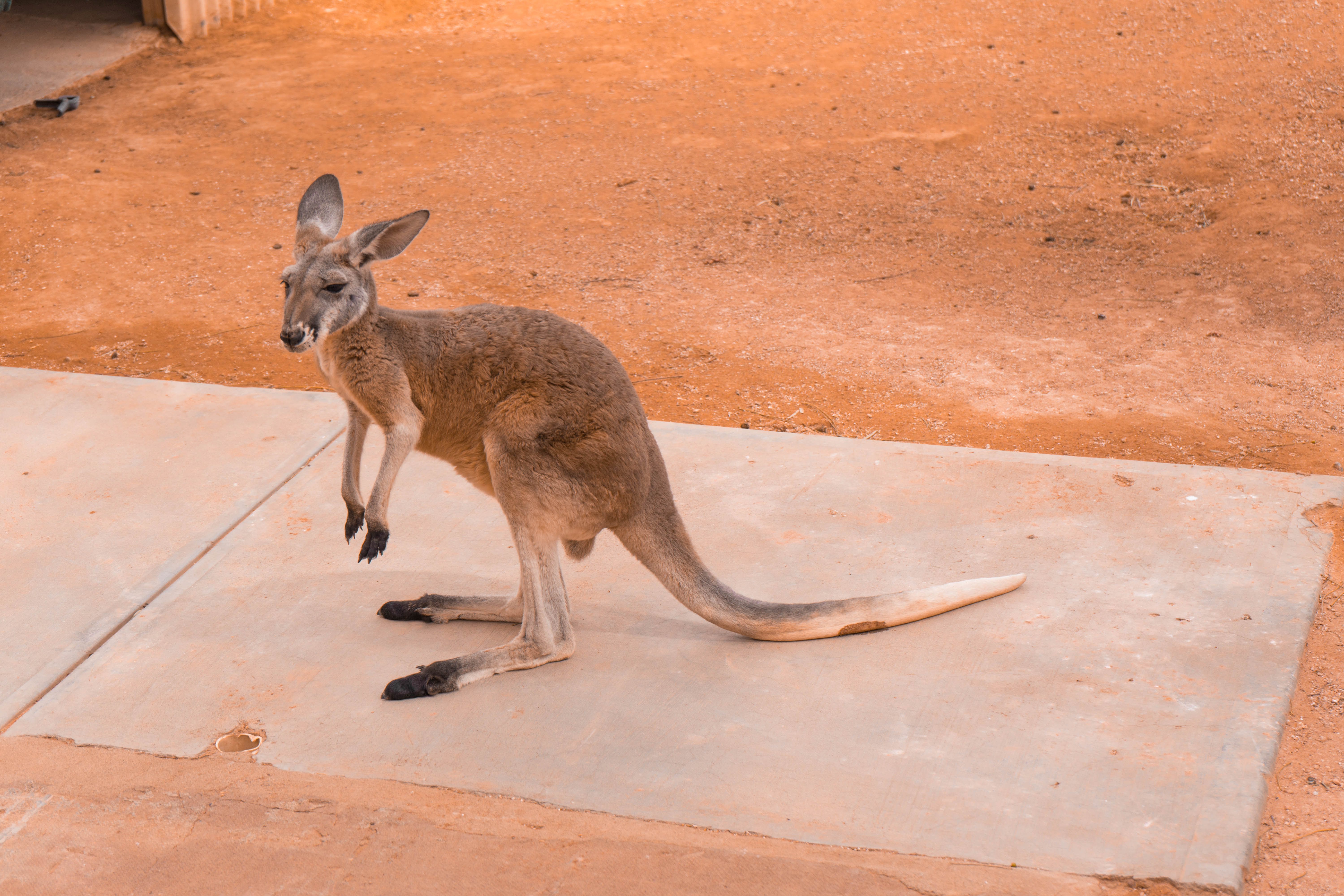 itinéraire-australie-outback