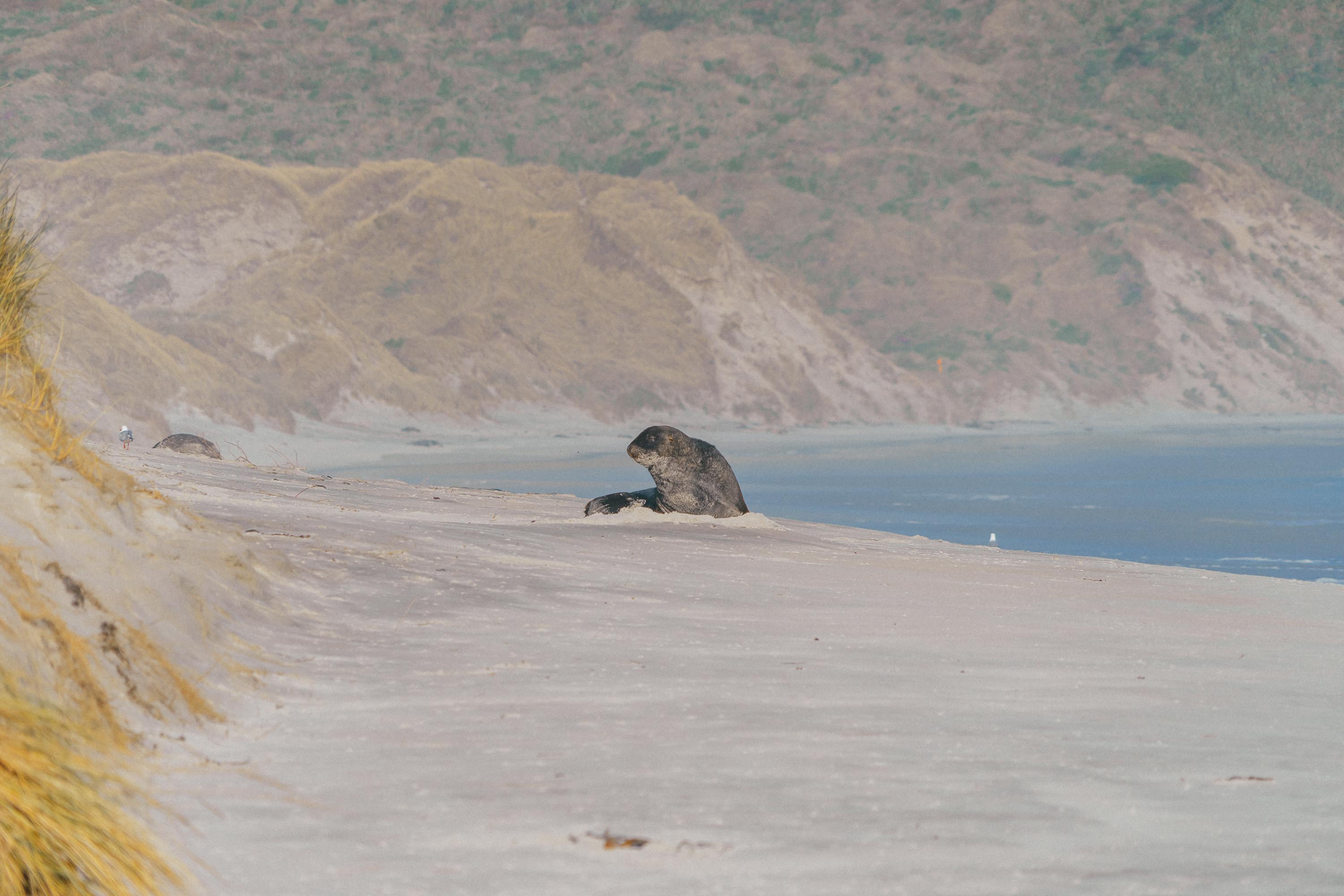 itinéraire NZ nord