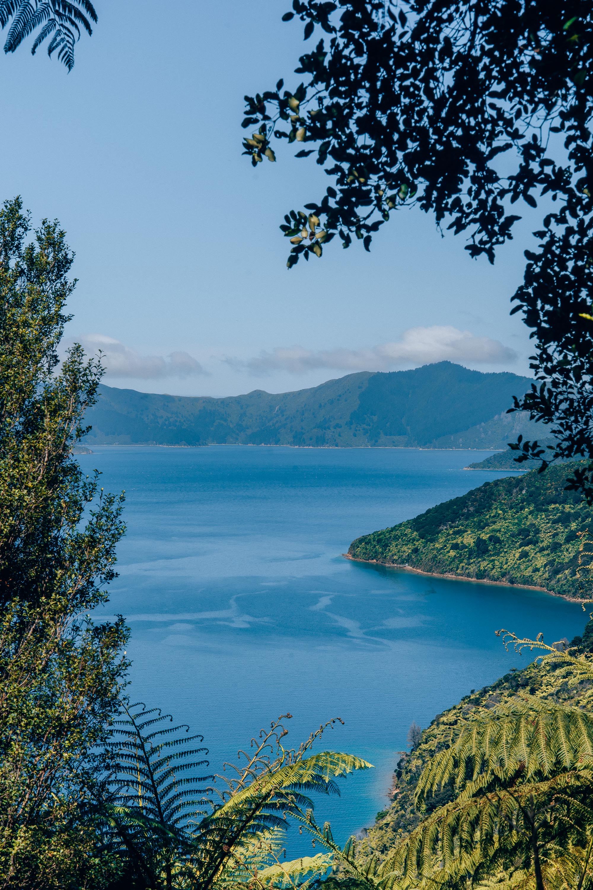 itinéraire NZ nord