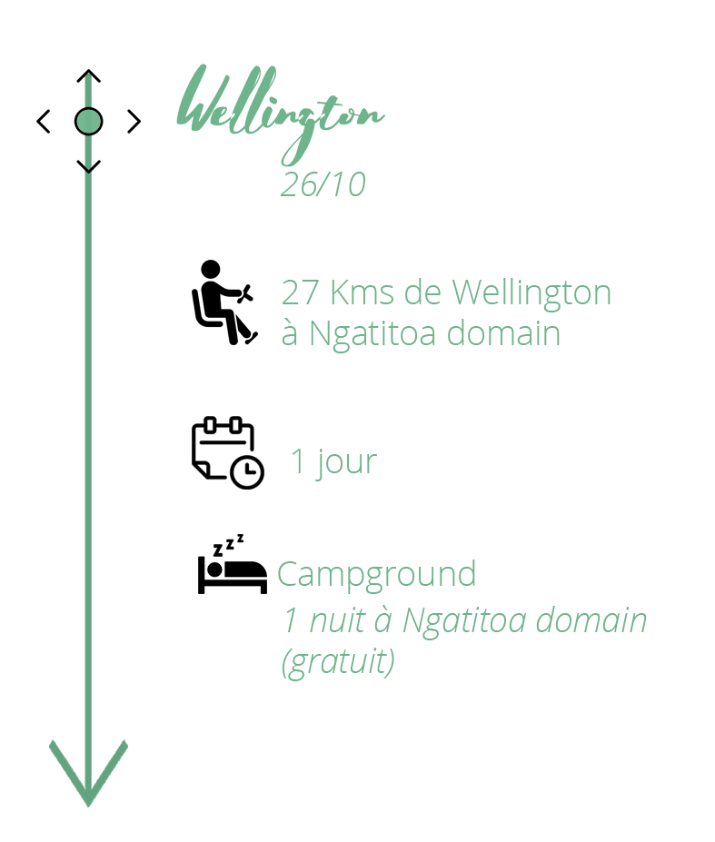 roadtrip-en-nouvelle-zelande-itineraire-sur-lile-du-nord