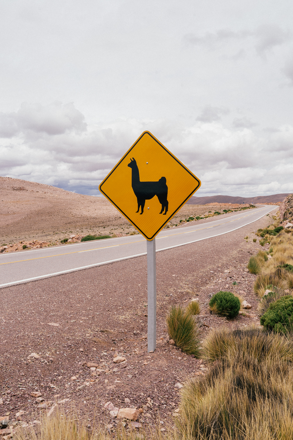 roadtrip