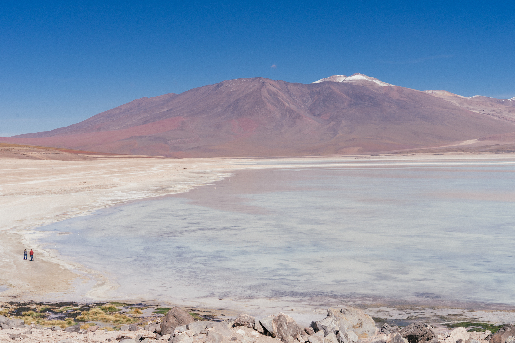 salar