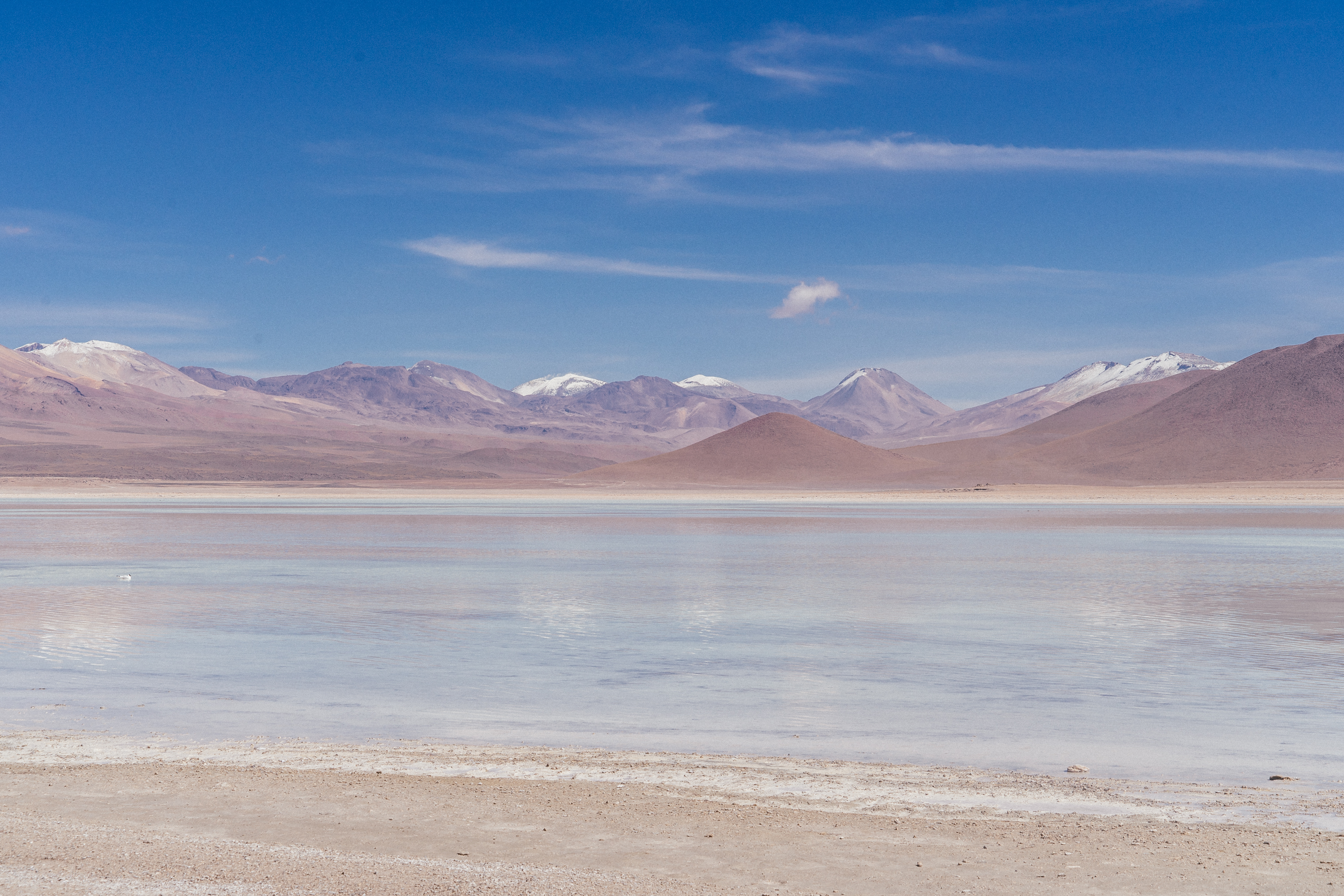 salar