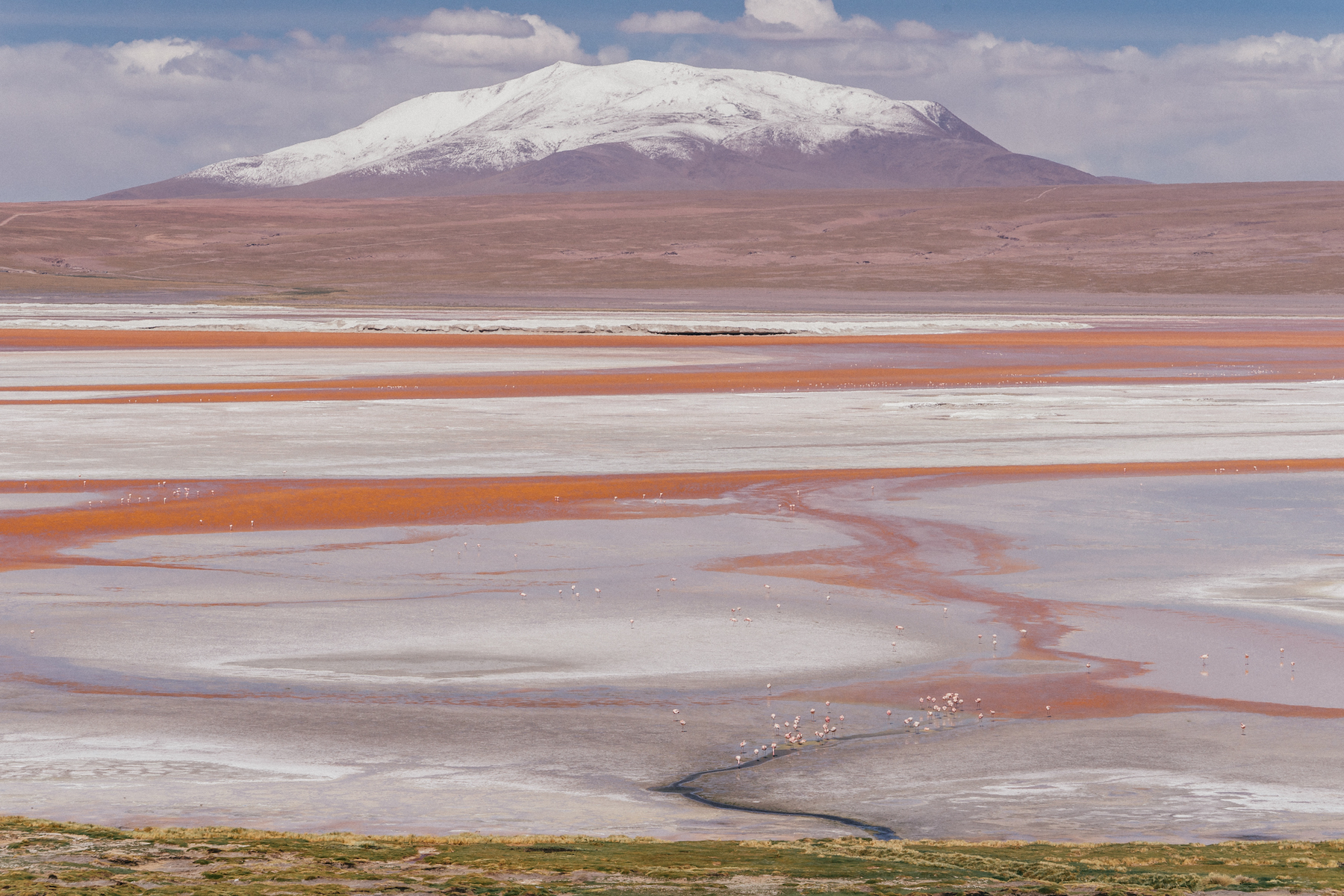 salar